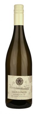 Sauvignon nefiltrovaný 2016, Moravské zemské víno