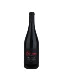 Pinot noir 2023, Výběr z hroznů