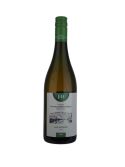 Sauvignon 2024, Moravské zemské víno